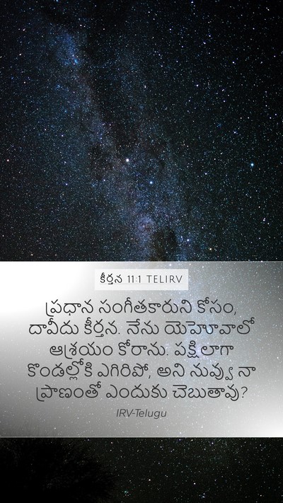 కీర్తన 11:1 TELIRV Mobile Phone Wallpaper - ప్రధాన - Mobile Bible Verse Wallpaper