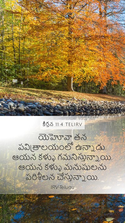 కీర్తన 11:4 TELIRV Bible Verse Image