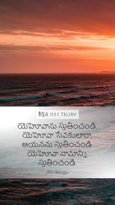 కీర్తన 113:1 TELIRV Mobile Phone Wallpaper - యెహోవాను - Mobile Bible Verse Wallpaper