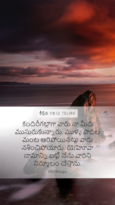 కీర్తన 118:12 TELIRV Bible Verse Image