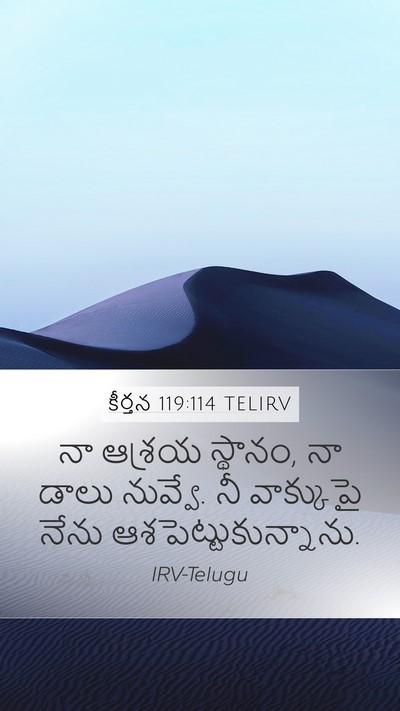 కీర్తన 119:114 TELIRV Bible Verse Image