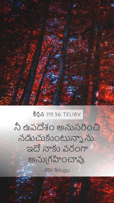 కీర్తన 119:56 TELIRV Mobile Phone Wallpaper - నీ ఉపదేశం - Mobile Bible Verse Wallpaper