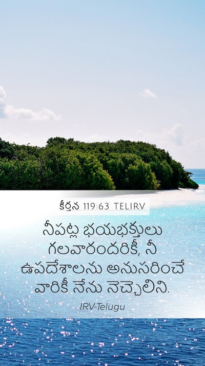 కీర్తన 119:63 TELIRV Bible Verse Image
