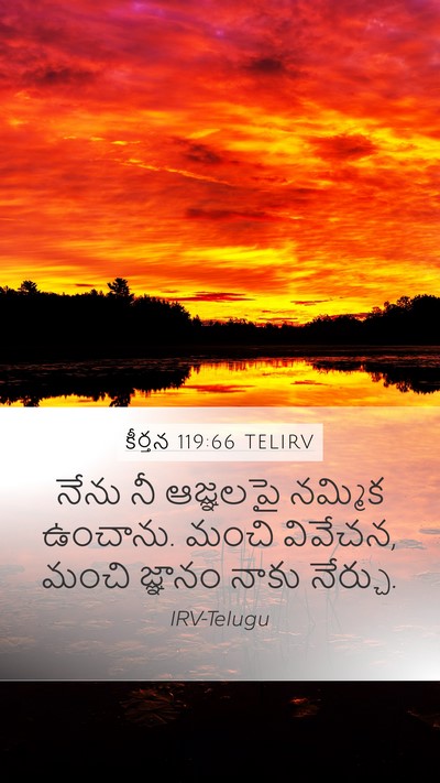 కీర్తన 119:66 TELIRV Mobile Phone Wallpaper - నేను నీ ఆజ్ఞలపై - Mobile Bible Verse Wallpaper