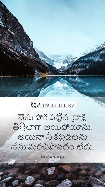 కీర్తన 119:83 TELIRV Bible Verse Image