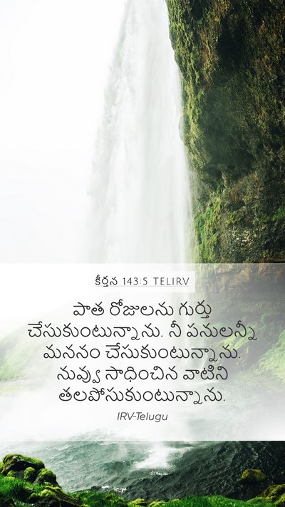 కీర్తన 143:5 TELIRV Mobile Phone Wallpaper - పాత రోజులను - Mobile Bible Verse Wallpaper