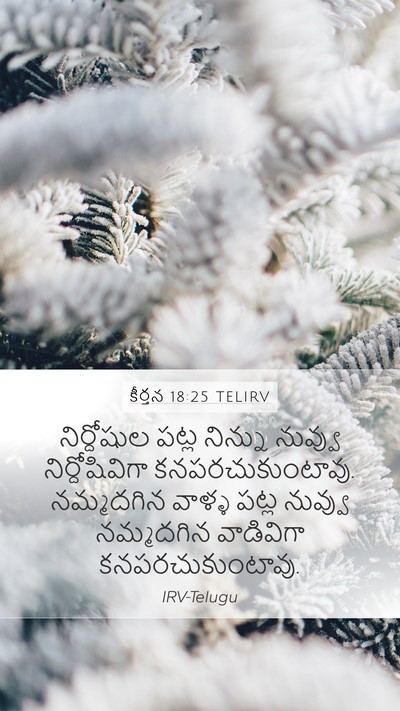 కీర్తన 18:25 TELIRV Bible Verse Image