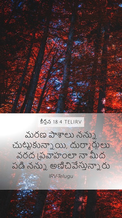 కీర్తన 18:4 TELIRV Mobile Phone Wallpaper - మరణ పాశాలు నన్ను - Mobile Bible Verse Wallpaper