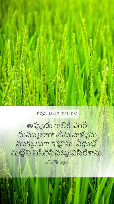కీర్తన 18:42 TELIRV Bible Verse Image