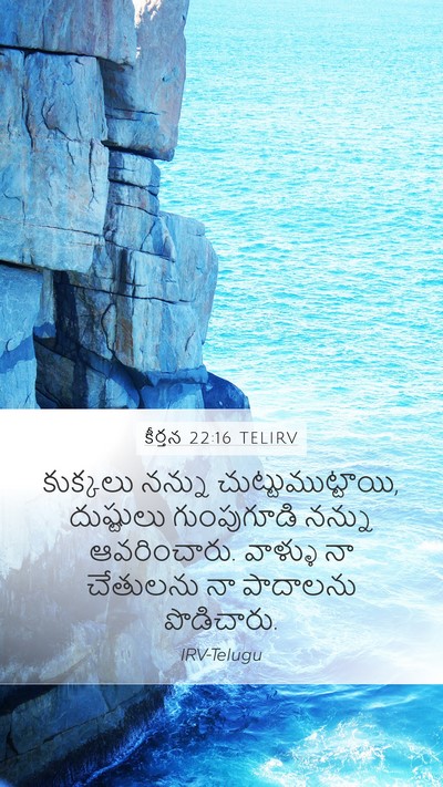 కీర్తన 22:16 TELIRV Bible Verse Image
