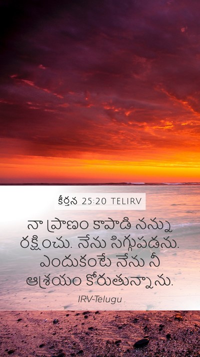 కీర్తన 25:20 TELIRV Bible Verse Image