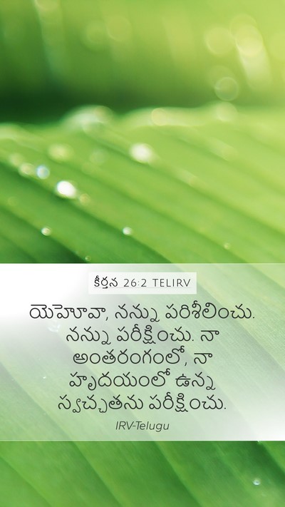 కీర్తన 26:2 TELIRV Mobile Phone Wallpaper - యెహోవా, నన్ను - Mobile Bible Verse Wallpaper