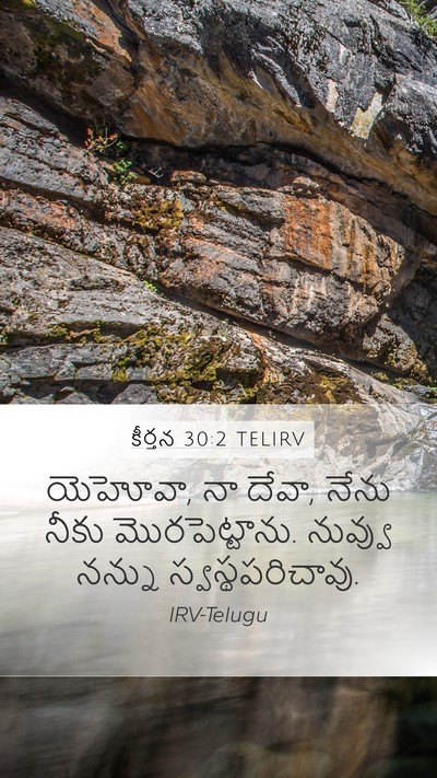 కీర్తన 30:2 TELIRV Bible Verse Image