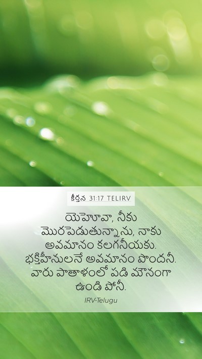 కీర్తన 31:17 TELIRV Bible Verse Image