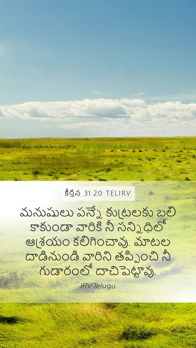 కీర్తన 31:20 TELIRV Bible Verse Image