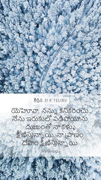 కీర్తన 31:9 TELIRV Bible Verse Image