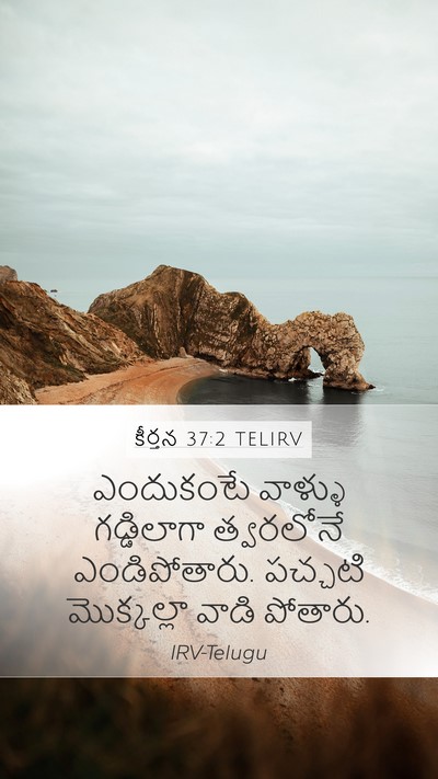 కీర్తన 37:2 TELIRV Bible Verse Image