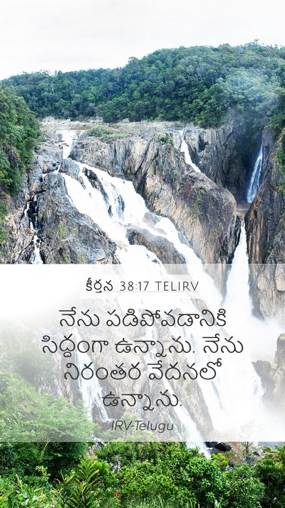 కీర్తన 38:17 TELIRV Mobile Phone Wallpaper - నేను పడిపోవడానికి - Mobile Bible Verse Wallpaper
