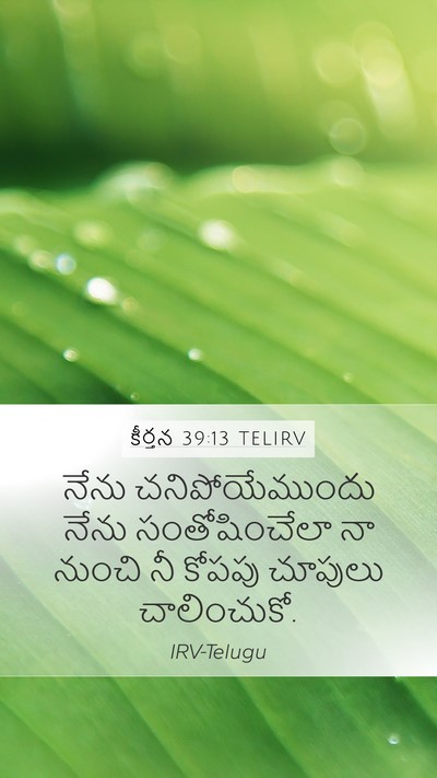 కీర్తన 39:13 TELIRV Mobile Phone Wallpaper - నేను చనిపోయేముందు - Mobile Bible Verse Wallpaper