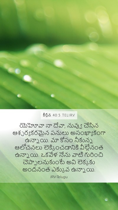 కీర్తన 40:5 TELIRV Bible Verse Image