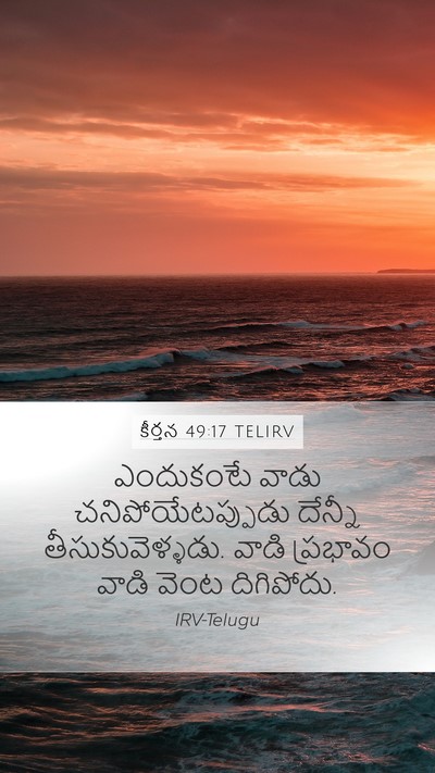 కీర్తన 49:17 TELIRV Bible Verse Image