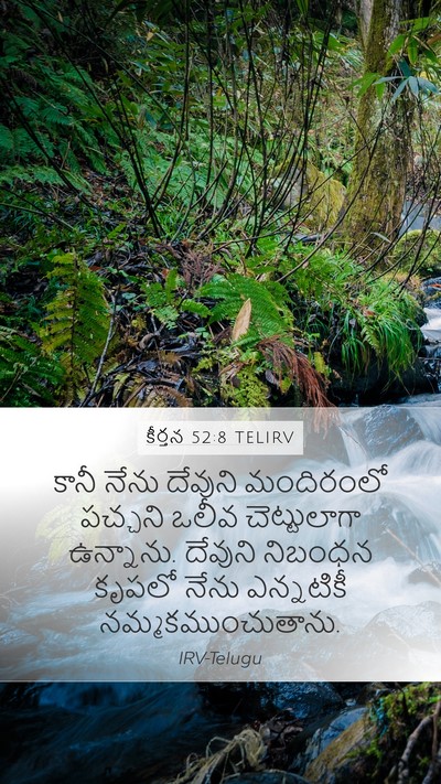 కీర్తన 52:8 TELIRV Bible Verse Image