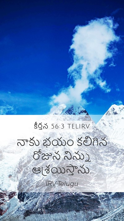 కీర్తన 56:3 TELIRV Bible Verse Image
