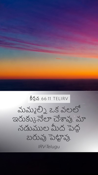 కీర్తన 66:11 TELIRV Bible Verse Image