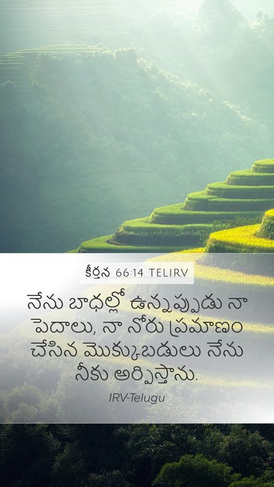 కీర్తన 66:14 TELIRV Mobile Phone Wallpaper - నేను బాధల్లో - Mobile Bible Verse Wallpaper