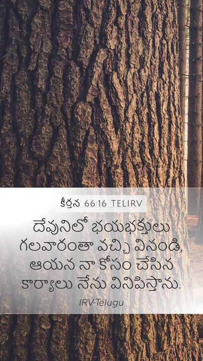 కీర్తన 66:16 TELIRV Bible Verse Image