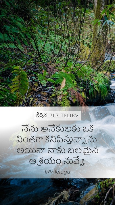 కీర్తన 71:7 TELIRV Mobile Phone Wallpaper - నేను అనేకులకు ఒక - Mobile Bible Verse Wallpaper