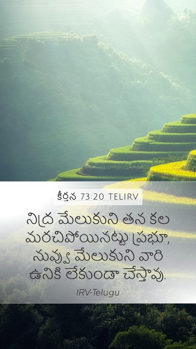 కీర్తన 73:20 TELIRV Bible Verse Image