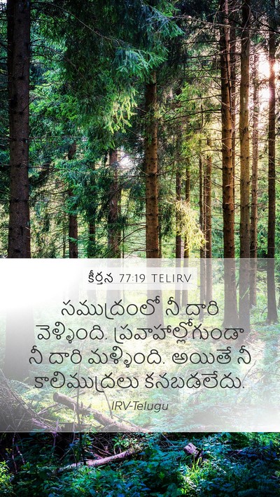 కీర్తన 77:19 TELIRV Bible Verse Image