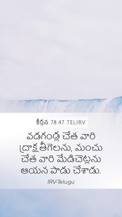 కీర్తన 78:47 TELIRV Bible Verse Image