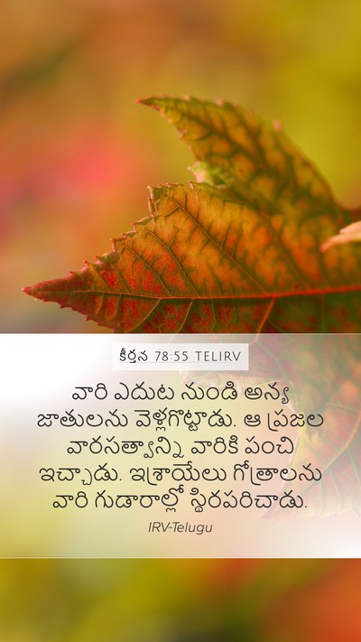 కీర్తన 78:55 TELIRV Bible Verse Image