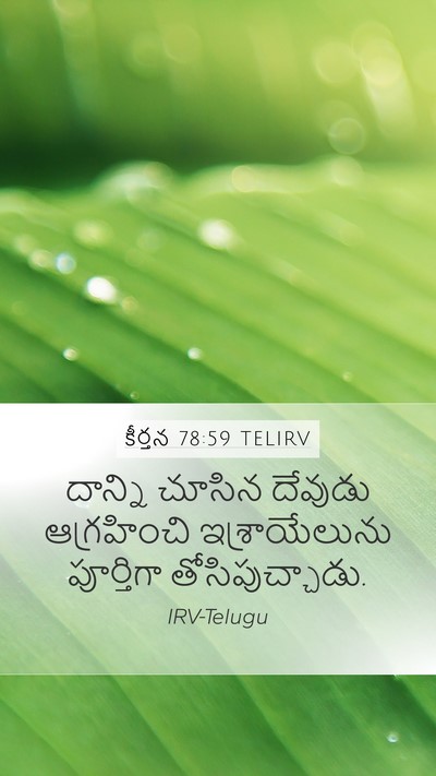 కీర్తన 78:59 TELIRV Bible Verse Image