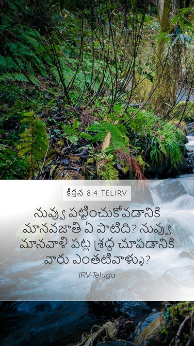 కీర్తన 8:4 TELIRV Bible Verse Image