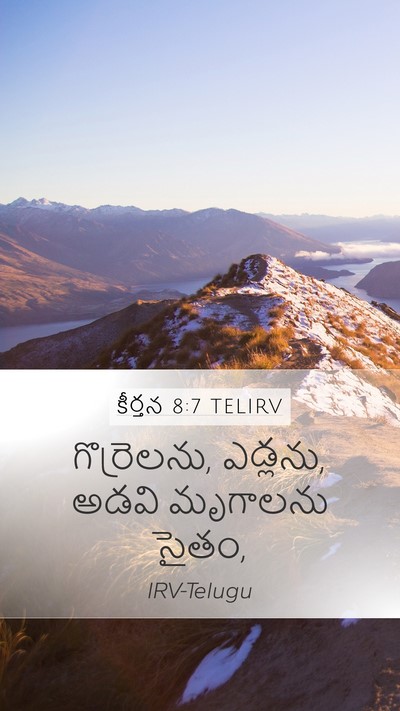 కీర్తన 8:7 TELIRV Mobile Phone Wallpaper - గొర్రెలను, ఎడ్లను, - Mobile Bible Verse Wallpaper
