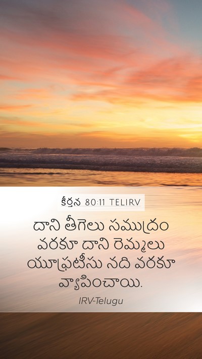 కీర్తన 80:11 TELIRV Bible Verse Image