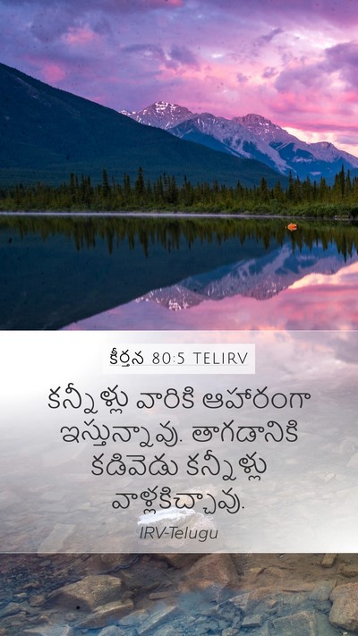 కీర్తన 80:5 TELIRV Bible Verse Image