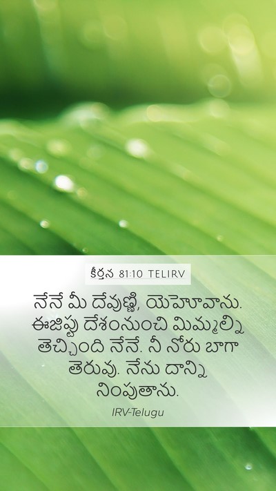 కీర్తన 81:10 TELIRV Mobile Phone Wallpaper - నేనే మీ దేవుణ్ణి, - Mobile Bible Verse Wallpaper