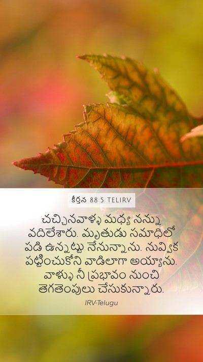 కీర్తన 88:5 TELIRV Bible Verse Image