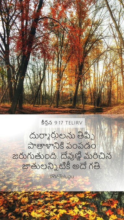 కీర్తన 9:17 TELIRV Bible Verse Image