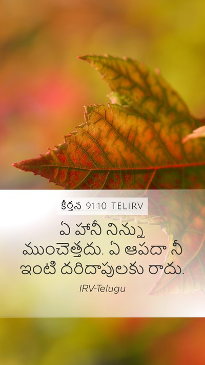 కీర్తన 91:10 TELIRV Mobile Phone Wallpaper - ఏ హానీ నిన్ను - Mobile Bible Verse Wallpaper