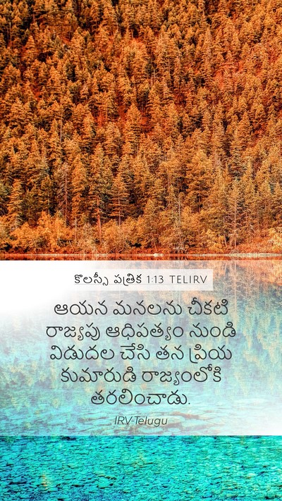 కొలస్సీ పత్రిక 1:13 TELIRV Bible Verse Image