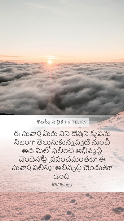 కొలస్సీ పత్రిక 1:6 TELIRV Bible Verse Image
