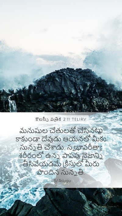 కొలస్సీ పత్రిక 2:11 TELIRV Bible Verse Image