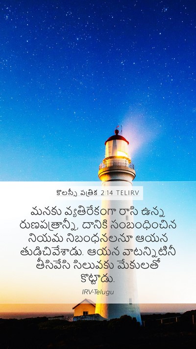 కొలస్సీ పత్రిక 2:14 TELIRV Bible Verse Image