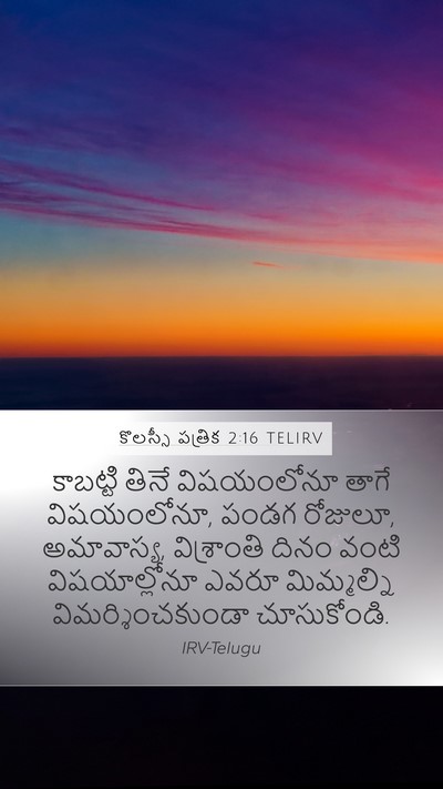 కొలస్సీ పత్రిక 2:16 TELIRV Bible Verse Image
