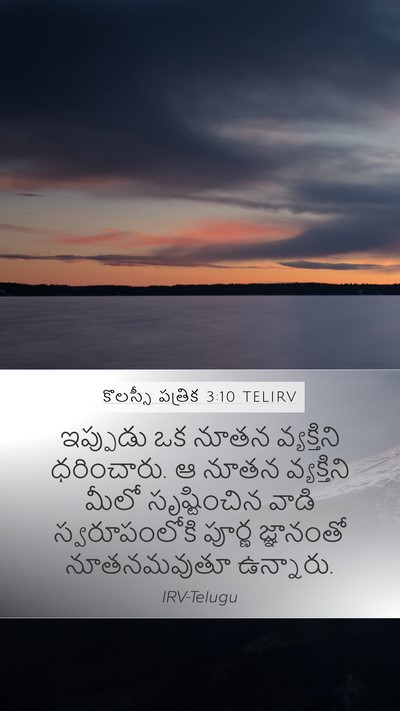 కొలస్సీ పత్రిక 3:10 TELIRV Bible Verse Image